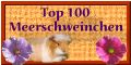 Top 100 Meerschweinchen